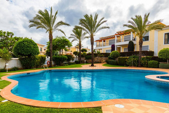 伟大的后院游泳池热浴缸休息室椅子游泳池后院难以置信的游泳池花园棕榈树花阳光明媚的一天