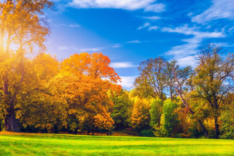 <strong>金秋</strong>天场景公园下降叶子太阳闪亮的树蓝色的天空色彩斑斓的树叶公园下降叶子自然背景