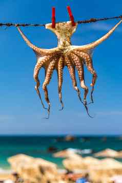章鱼干燥太阳克里特岛希腊欧洲章鱼干燥克里特岛希腊章鱼干燥绳子酒馆克里特岛希腊章鱼受欢迎的菜希腊