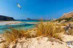 巴洛斯环礁湖格拉姆武萨岛克里特岛海鸥飞行希腊帽tigani中心巴洛斯海滩克里特岛岛希腊水晶清晰的水巴洛斯海滩