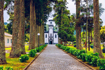 教堂为什么nicolau圣尼古拉斯小巷高树绣球花花七城市为什么米格尔岛亚速尔葡萄牙教区教堂尼古拉斯七城市亚速尔