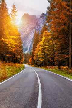 视图绕组路沥青道路意大利阿尔卑斯山脉南提洛尔秋天季节秋天场景弯曲的路黄色的落叶松国阿尔卑斯森林白云石阿尔卑斯山脉意大利