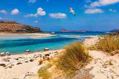 巴洛斯环礁湖格拉姆武萨岛克里特岛海鸥飞行希腊帽tigani中心巴洛斯海滩克里特岛岛希腊水晶清晰的水巴洛斯海滩