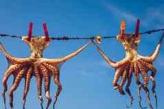 章鱼干燥太阳克里特岛希腊欧洲章鱼干燥克里特岛希腊章鱼干燥绳子酒馆克里特岛希腊章鱼受欢迎的菜希腊