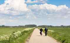 夫妇自行车通过白色夏天花国家路梅多斯荷兰蓝色的夏天天空