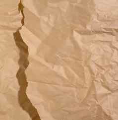 薄荷棕色（的）一块纸撕裂边缘影子