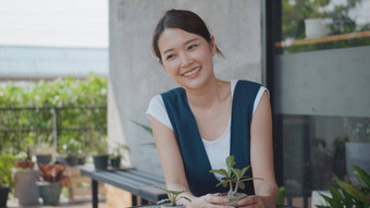 年轻的女人持有能小树花手微笑笑采取护理