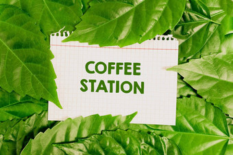 灵感显示标志咖啡站业务展示小非正式的餐厅通常服务热饮料自然保护的想法环境保存计划