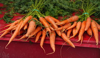 新鲜的成熟的胡萝卜显示街食物市场