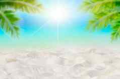 夏天假期白色沙子海滩空间文本椰子叶子后框架海视图精力充沛的地板上