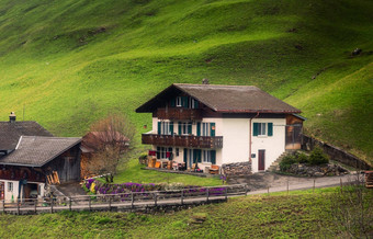 农村谷视图瑞士阿尔卑斯山脉传统的瑞士房子策马特城市瑞士农村风景优美的令人惊异的自然绿色字段高山瑞士欧洲旅行假期春天
