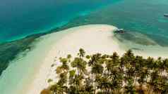 热带岛桑迪海滩巴拉巴克巴拉望省菲律宾