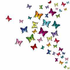 色彩斑斓的飞行蝴蝶孤立的白色背景