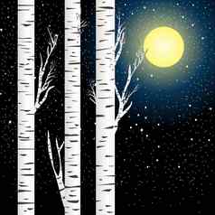 桦木树晚上天空完整的月亮星星