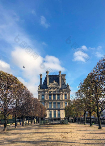 大道树秋天领先的博物馆罗浮宫巴黎法国