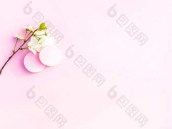 化妆品海绵树分支春天花粉红色的背景