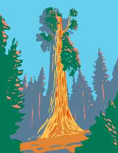 一般格兰特树巨大的红杉资本一般格兰特格罗夫部分国王峡谷国家公园加州水渍险海报艺术
