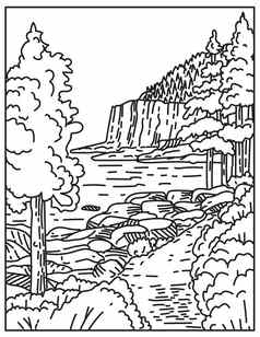 水獭悬崖北大西洋沿海地区位于阿卡迪亚国家公园缅因州曼联州单行单一险种行艺术黑色的白色