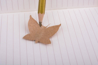纸减少形状蝴蝶