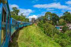 旅行公共火车岛斯里兰卡斯里兰卡火车旅行山茶种植园风景优美的铁路