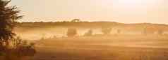 灰尘日落风景卡加拉加迪在国外做的公园南非洲