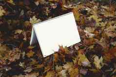 空白纸秋天叶子