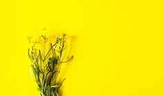 美丽的花束花明亮的黄色的背景毛茛属植物acris植物