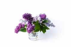 花束美丽的春天紫色的淡紫色花常见的紫丁香植物