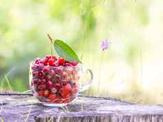 成熟的樱桃草莓透明的杯树树桩新鲜的红色的水果夏天花园