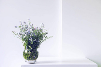 花束美丽的春天蓝色的白色勿忘我花光背景勿忘我草植物自然装饰花作文极简主义光室内