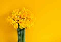 美丽的花束春天黄色的水仙花水仙花植物明亮的黄色的背景