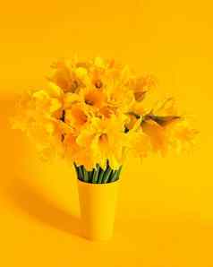 花作文黄色的颜色美丽的花束春天水仙花水仙花