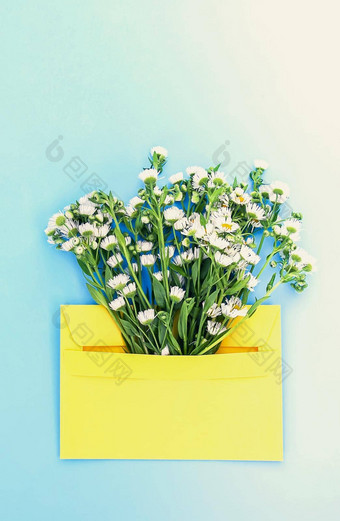 黄色的纸信封小花园白色洋甘菊花光蓝色的背景节日花模板问候卡设计前视图