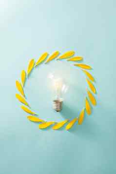 生态能源储蓄概念生态灯泡