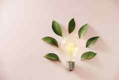 生态绿色能源概念灯泡灯泡叶子粉红色的背景
