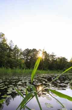 风景优美的视图景观湖拉脱维亚latgale东欧洲夏天自然
