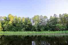 风景优美的视图景观湖拉脱维亚latgale东欧洲夏天自然