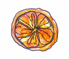 柑橘类片手画酒精墨水插图
