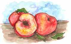 桃子水果水彩绘画