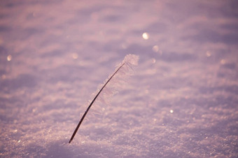 雪场冬天