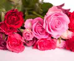 美丽的花束粉红色的红色的玫瑰花白色背景