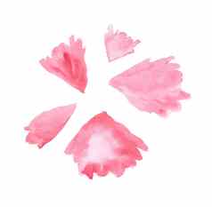 水彩手画插图粉红色的花花瓣剪贴簿元素