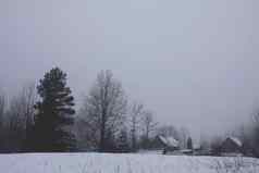 美丽的冬天景观农村房子建筑树雪