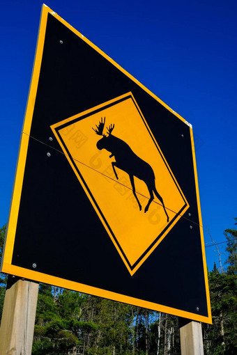 大驼鹿穿越警告标志