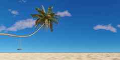 你棕榈树海滩轮胎摇摆不定的夏天时间