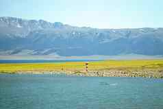路灯塔湖拍摄幅赛里木湖新疆中国