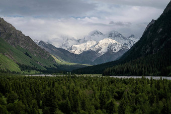 雪山<strong>树</strong>多云的一天汗tengri山新疆中国