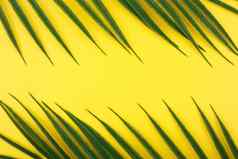 平躺棕榈叶子黄色的背景概念摘要现代热带背景