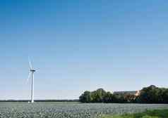 农场太阳能面板风涡轮红色的卷心菜场荷兰省北荷兰