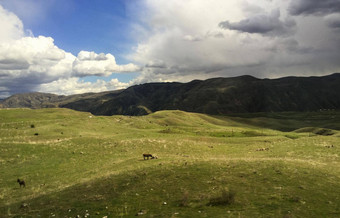 美丽的绿色山亚美尼亚春天
